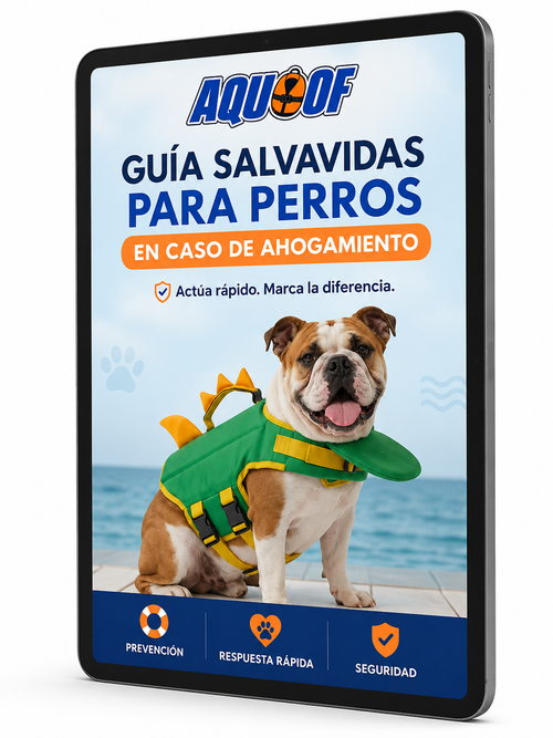 MINI GUÍA SALVAVIDAS